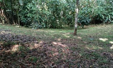 Lote en Venta, Vereda San Antonio, Circasia, Quindio