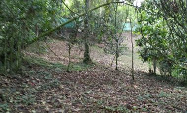 Lote en Venta, Vereda San Antonio, Circasia, Quindio