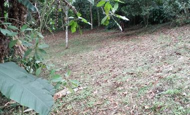 Lote en Venta, Vereda San Antonio, Circasia, Quindio