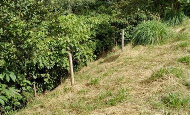 Lote en Venta, Vereda San Antonio, Circasia, Quindio