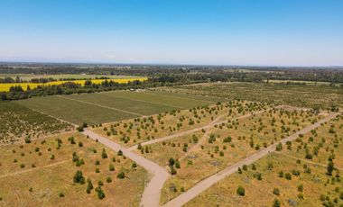 LOTEO DOÑA MATILDA A MINUTOS DEL CENTRO DE LOS ANGELES
