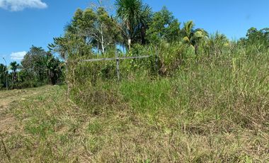 Oportunidad única! Fundo productivo y para de campo en Pucallpa