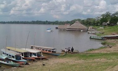 Oportunidad única! Fundo productivo y para de campo en Pucallpa