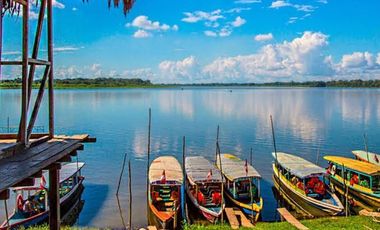 Oportunidad única! Fundo productivo y para de campo en Pucallpa