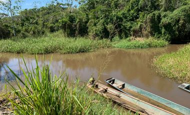 Oportunidad única! Fundo productivo y para de campo en Pucallpa
