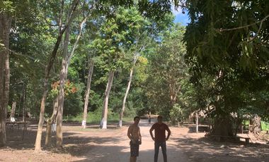Oportunidad única! Fundo productivo y para de campo en Pucallpa