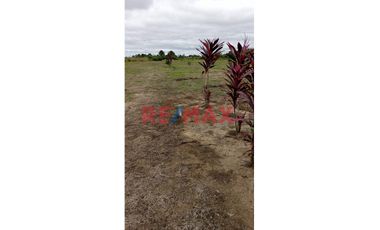 Se Venden Lotes En Campo Verde- Pucallpa