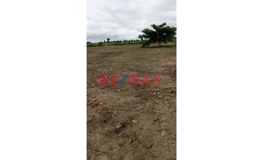 Se Venden Lotes En Campo Verde- Pucallpa
