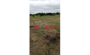 Se Venden Lotes En Campo Verde- Pucallpa