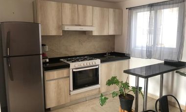 RENTA DE CASA AMUEBLADA EN CARMENA  POR EL BLVD MORELOS
