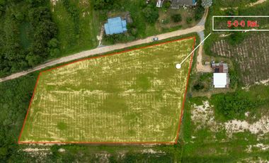 Land for sale Hua Hin Soi 70, Land Area 5 Rai (8000 sq.m), price 2.5 Million Baht per Rai