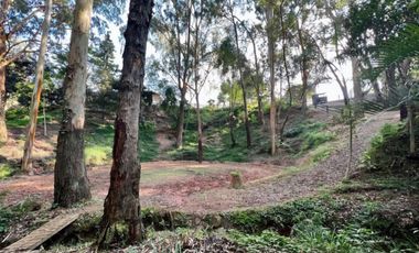 VENDO FINCA EN DAPA