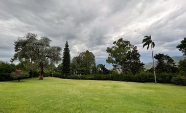 VENDO FINCA EN DAPA