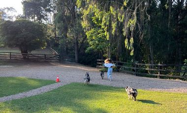 VENDO FINCA EN DAPA