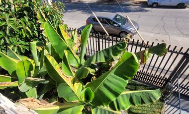 A Pasos De Estación Metro Elisa Correa