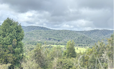 Fundo en los Muermos, sector estaquilla