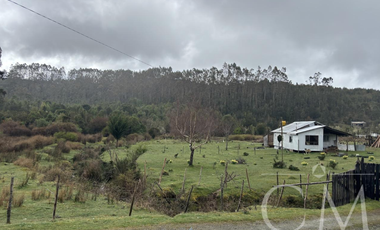 Fundo en los Muermos, sector estaquilla