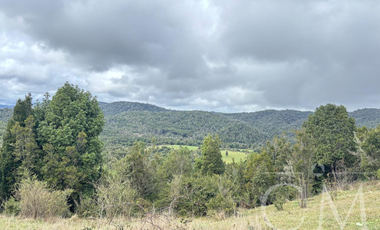 Fundo en los Muermos, sector estaquilla