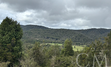 Fundo en los Muermos, sector estaquilla