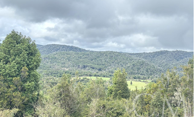 Fundo en los Muermos, sector estaquilla
