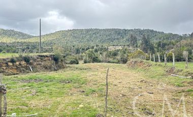 Fundo en los Muermos, sector estaquilla