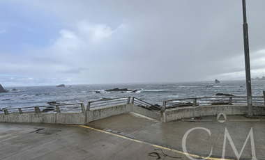 Fundo en los Muermos, sector estaquilla