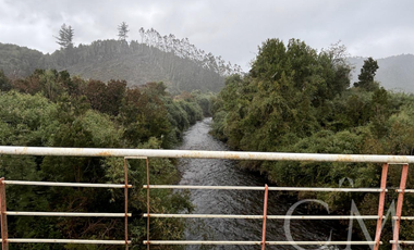 Fundo en los Muermos, sector estaquilla
