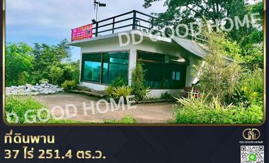 Phan land 37 rai 251.4 sq w. Chiang Rai near Wat Pong Daeng