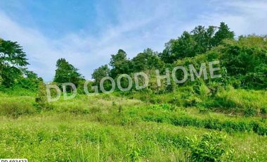 Phan land 37 rai 251.4 sq w. Chiang Rai near Wat Pong Daeng