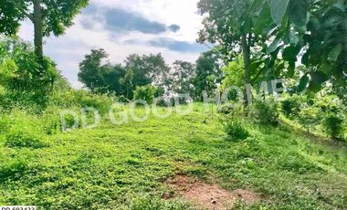 Phan land 37 rai 251.4 sq w. Chiang Rai near Wat Pong Daeng