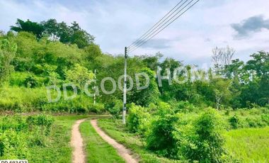 Phan land 37 rai 251.4 sq w. Chiang Rai near Wat Pong Daeng
