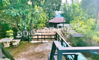 Phan land 37 rai 251.4 sq w. Chiang Rai near Wat Pong Daeng