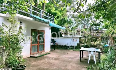 Phan land 37 rai 251.4 sq w. Chiang Rai near Wat Pong Daeng