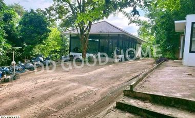 Phan land 37 rai 251.4 sq w. Chiang Rai near Wat Pong Daeng