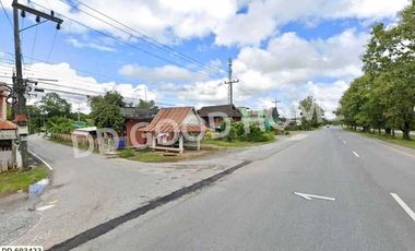 Phan land 37 rai 251.4 sq w. Chiang Rai near Wat Pong Daeng