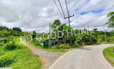 Phan land 37 rai 251.4 sq w. Chiang Rai near Wat Pong Daeng