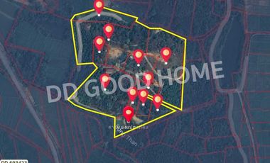 Phan land 37 rai 251.4 sq w. Chiang Rai near Wat Pong Daeng