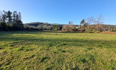 Parcelas con Estero Sector Lipingue