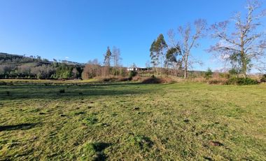 Parcelas con Estero Sector Lipingue