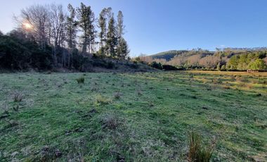 Parcelas con Estero Sector Lipingue