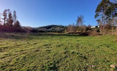 Parcelas con Estero Sector Lipingue