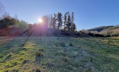 Parcelas con Estero Sector Lipingue