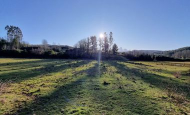 Parcelas con Estero Sector Lipingue
