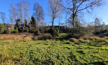 Parcelas con Estero Sector Lipingue