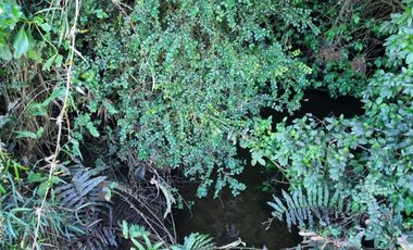 Parcelas con Estero Sector Lipingue