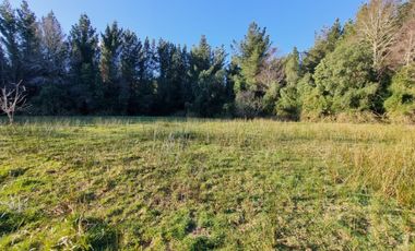 Parcelas con Estero Sector Lipingue