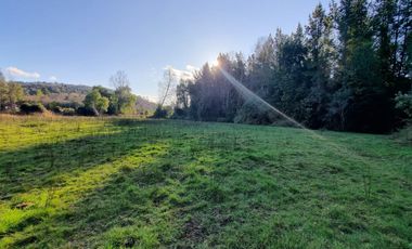 Parcelas con Estero Sector Lipingue