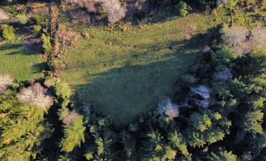 Parcelas con Estero Sector Lipingue