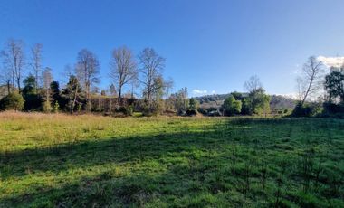 Parcelas con Estero Sector Lipingue