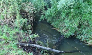 Parcelas con Estero Sector Lipingue